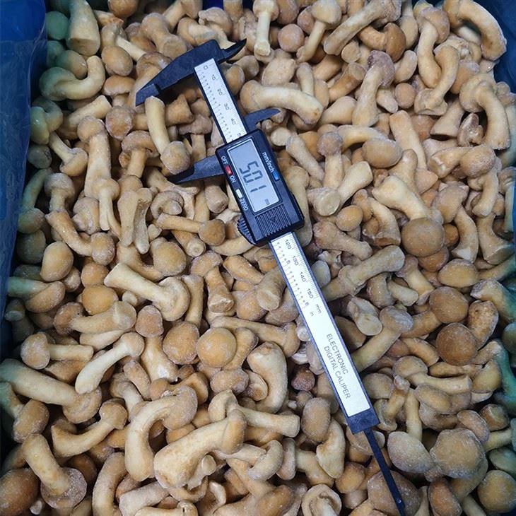 IQF Nameko Mushroom