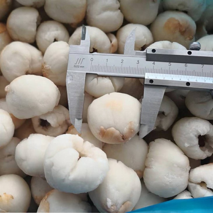 IQF Lychee Fruit
