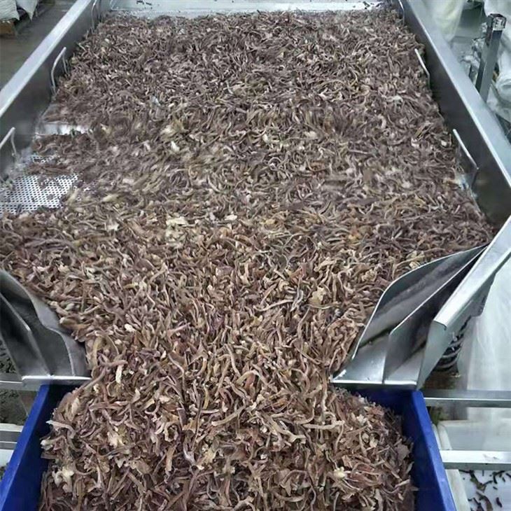 IQF Black fungus strips