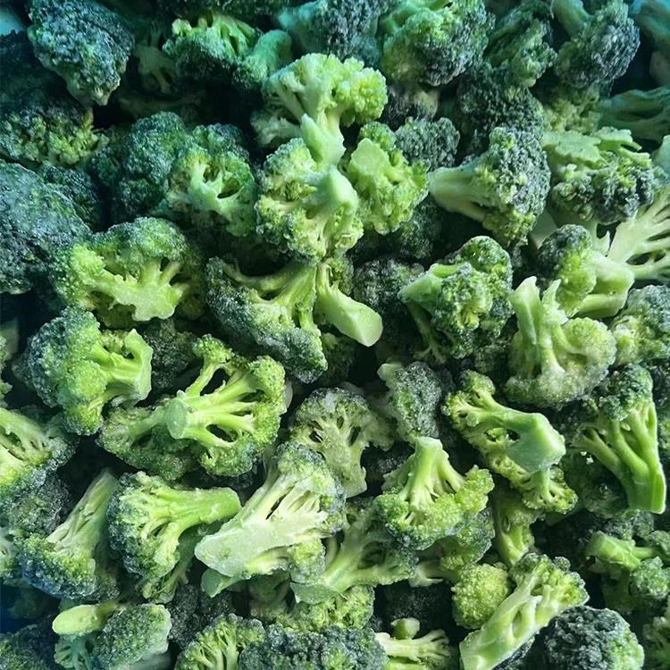 Frozen broccoli nutrition and quality stability for B2B buyers comparing frozen and fresh vegetables Frozen broccoli nutrition and quality stability for B2B buyers comparing frozen and fresh vegetables