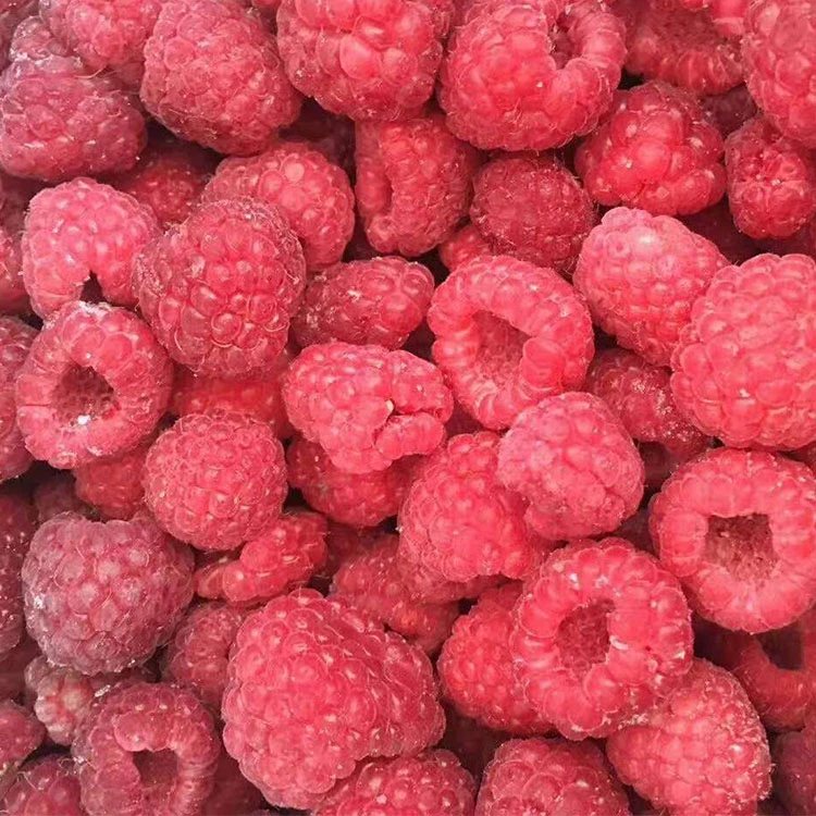 Real GreenLand product photograph of IQF frozen raspberries