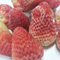 Morangos congelados sem adição de açúcar