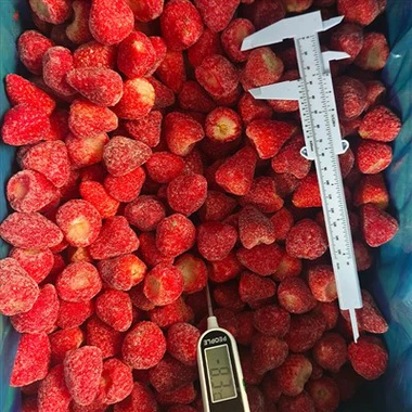 Morangos congelados a granel