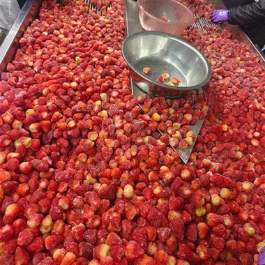 Morangos congelados 1 kg
