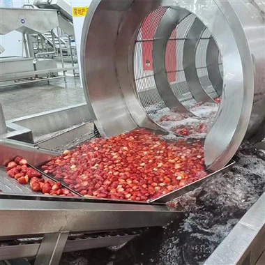 Morangos congelados descongelados